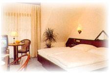 Hotel Am Gisselgrund Frankenhain Extérieur photo